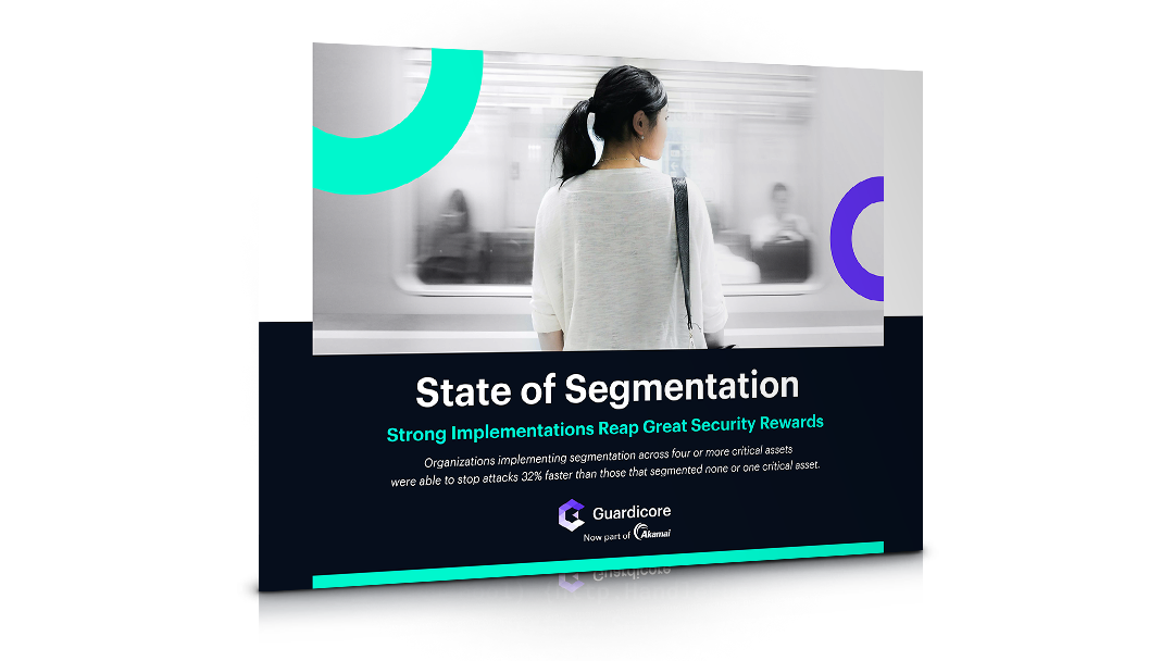 State of Segmentation