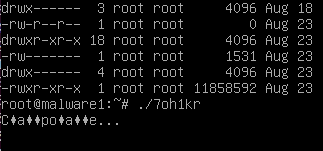 Abb. 6) Ausgabe nach Ausführung der Capoae-Malware