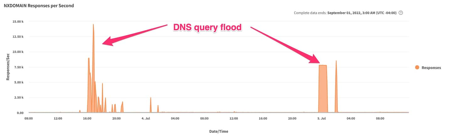 Abb. 5: DNS-Abfrage-Flood (Juni 2022)