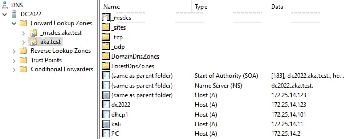 Nach Erhalt dieser Anfrage sendet der DHCP-Server ein dynamisches DNS-Update und erstellt den angeforderten Datensatz (Abbildung 10).