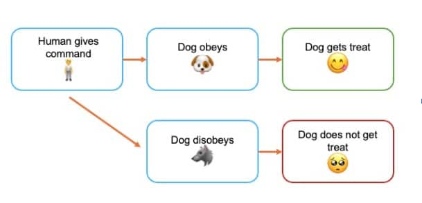 Der Hundehalter kann hierzu positive und negative Verstärkung verwenden, um die Gehirnbahnen zu schaffen, die den Befehl mit dem gewünschten Trick verbinden (Abbildung 3). 