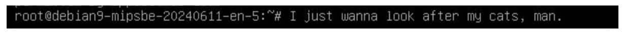 Neuere Versionen der Malware geben stattdessen die Zeichenfolge „I just wanna look after my cats, man.“ auf der Konsole aus (Abbildung 13).