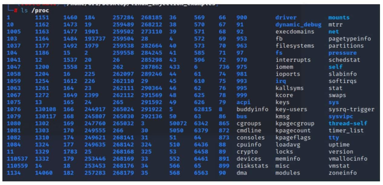 procfs is a special pseudo filesystem that acts as an interface to running processes on the system. It can be accessed through the /proc directory (Figure 1).