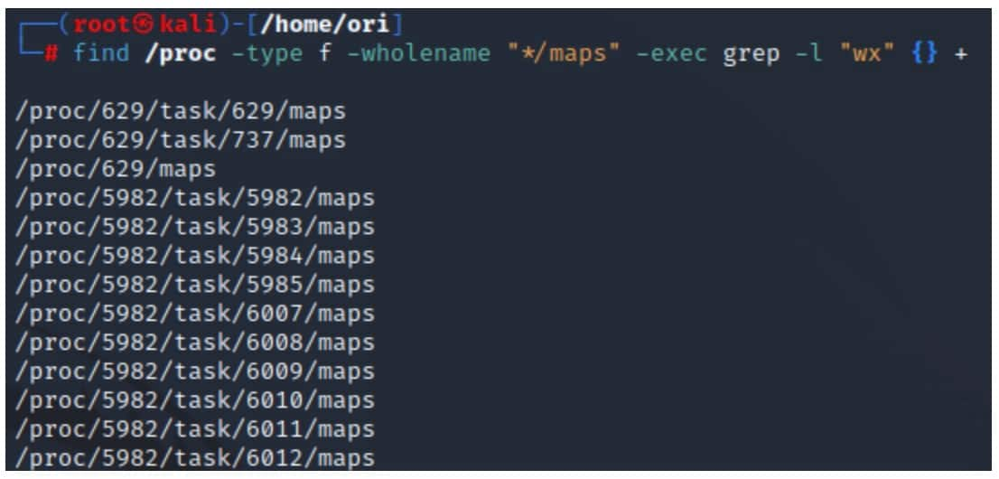 The command in Snippet 5 will scan the maps file of all processes on the system and identify regions with write and execute permissions (Figure 6).