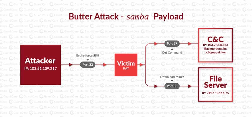 Butter Attack - samba Payload