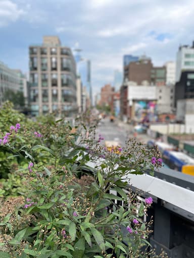 A view of Manhattan from the Hudson River Greenway