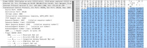 Fig. 10: TCP Big data attack packet