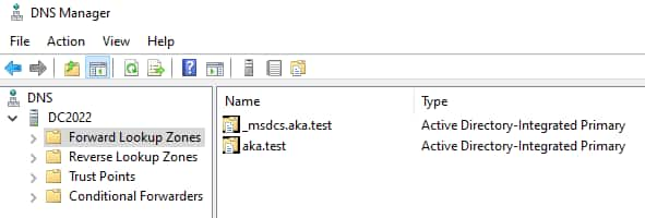 Every domain needs a DNS server that hosts a special DNS zone called Active Directory Integrated DNS (ADIDNS) zone (Figure 1).