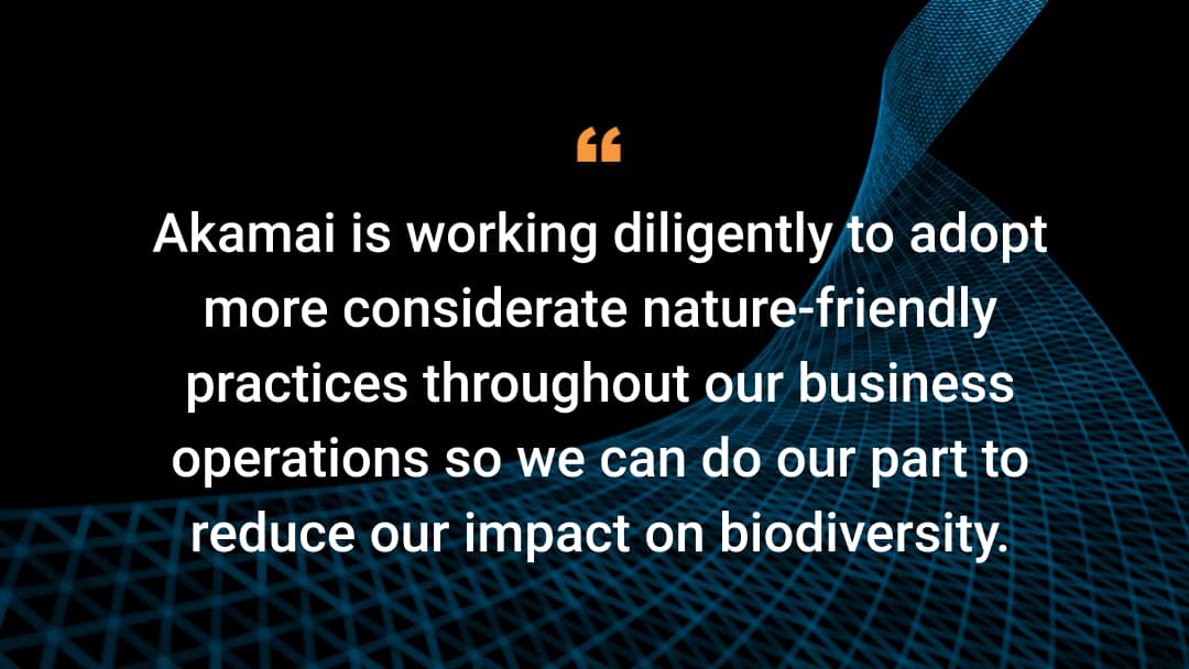 Akamai is working diligently to adopt more considerate nature-friendly practices throughout our business operations so we can do our part to reduce our impact on biodiversity.