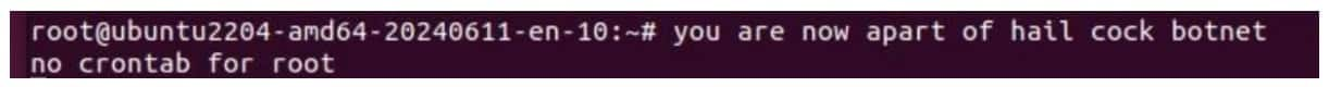 Older versions of the malware will print the string “you are now apart of hail cock botnet” (Figure 12). 