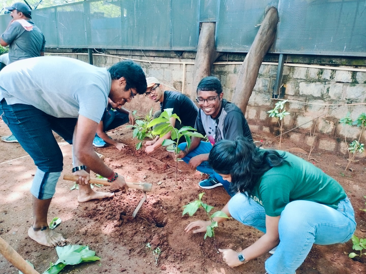 Starting the planting process