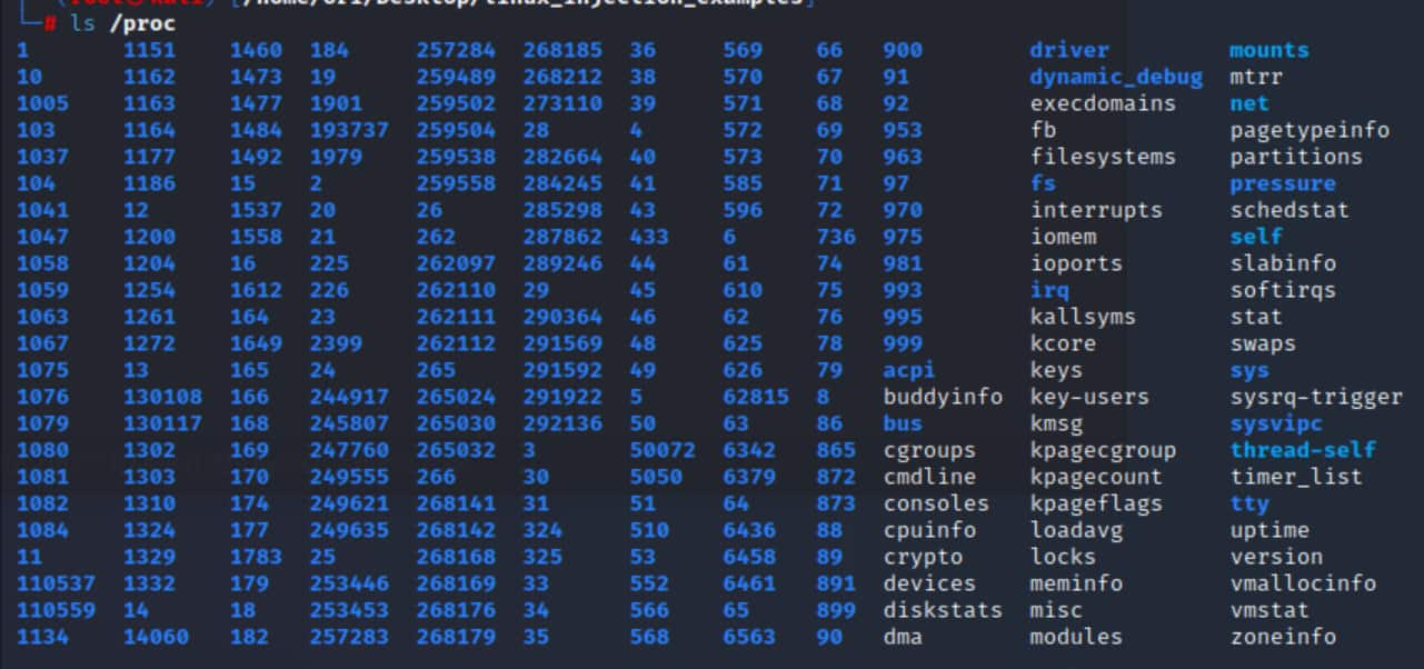 procfs is a special pseudo filesystem that acts as an interface to running processes on the system. It can be accessed through the /proc directory (Figure 1).