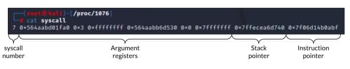 Another interesting file in procfs is the syscall file. This file holds information about the syscall that is currently executed by the process — the syscall number, the arguments that were passed to it, the stack pointer, and (most interesting for our cause) the process instruction pointer (Figure 10).