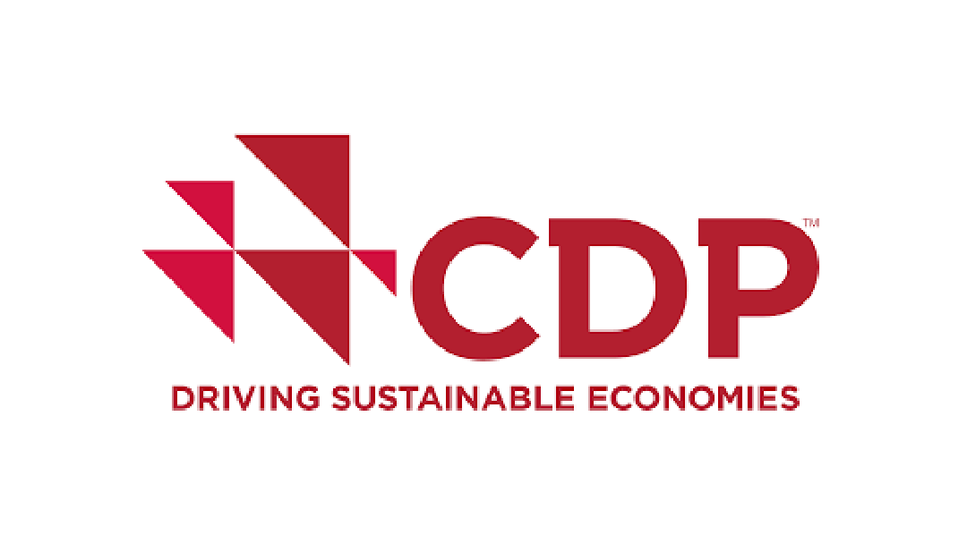 CDP | Driving Sustainable Economies