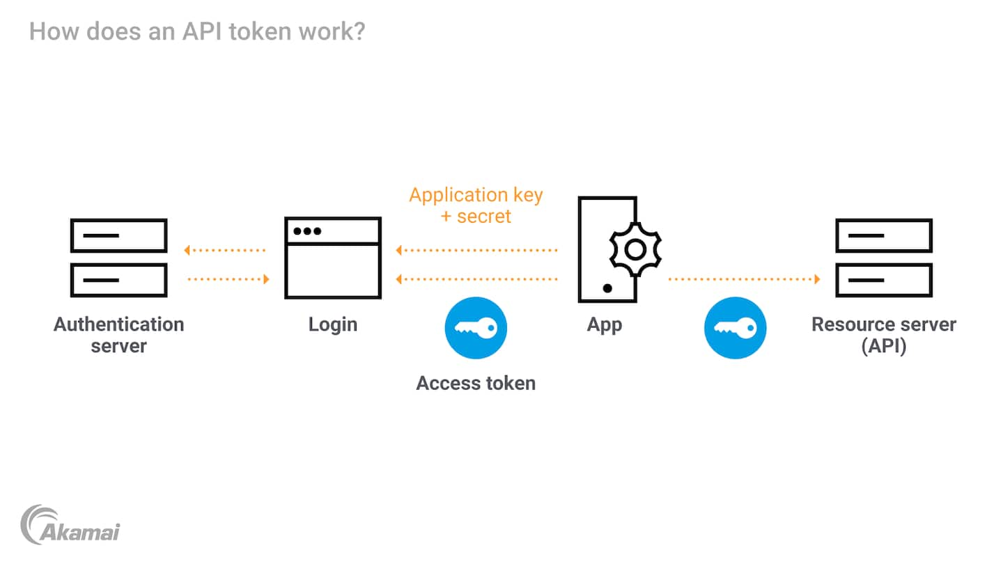 Illustration of how an API token works.