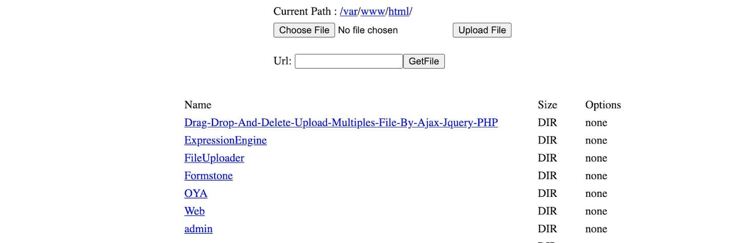 Fig. 5) El shell web una vez se ha descifrado y ejecutado