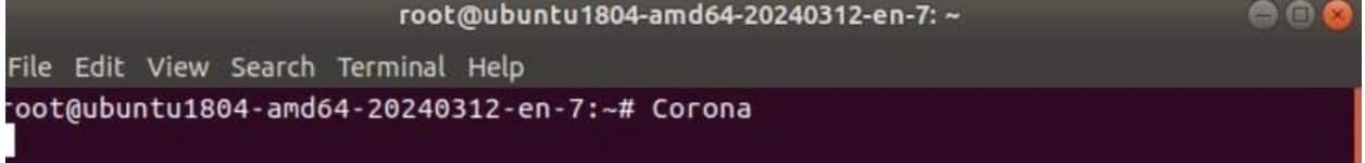 Además, escribe la cadena "Corona" en la consola de un host infectado (Figura 4). 