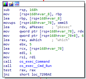 La función "RunBlasty" comienza con la ejecución del comando "which", una utilidad que permite localizar la ruta completa de otros comandos del sistema (Figura 6). 