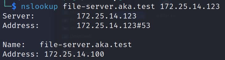 Disons que nous avons identifié un hôte nommé file-server.aka.test (Figure 19).