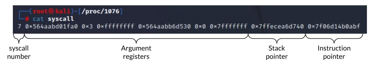 Another interesting file in procfs is the syscall file. This file holds information about the syscall that is currently executed by the process — the syscall number, the arguments that were passed to it, the stack pointer, and (most interesting for our cause) the process instruction pointer (Figure 10).