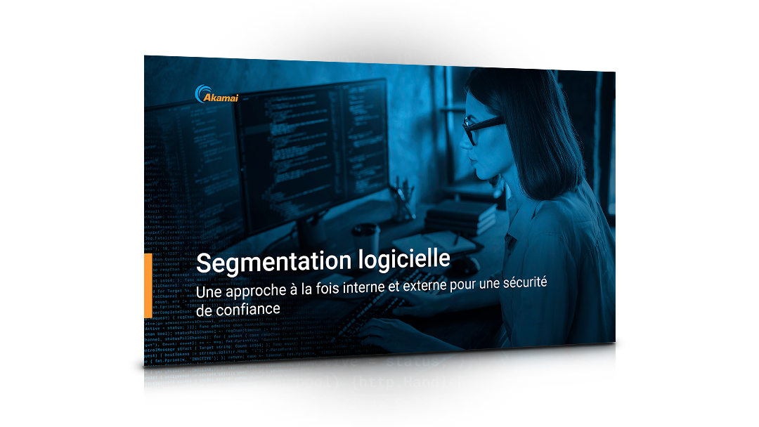 Software-Based Segmentation: An inside-out approach to achieving security confidence