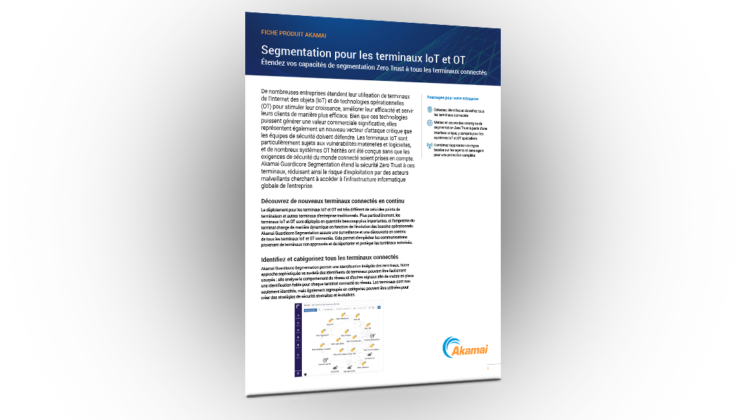 Segmentation pour les terminaux IoT et OT