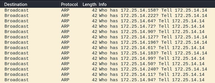 In Figure 1, we can see the malware attempting to connect to all the addresses in the local network.