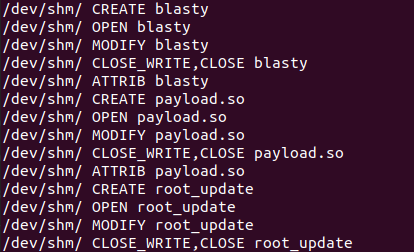 The first technique uses the /dev/shm folder (with shm meaning shared memory), which is a directory that is meant to enable efficient communication among different processes on the system (Figure 10). 