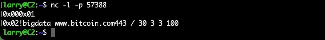 図 3：C2 をエミュレートして誤ったフォーマットのコマンド送信を再現