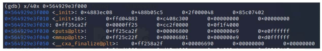 If we inspect the same address in memory using GDB, we will note that the contents are identical (Figure 3).