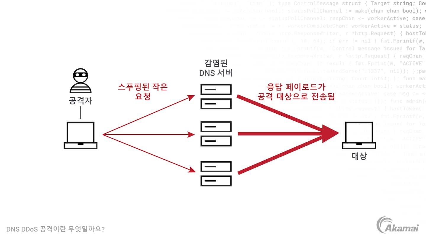 DNS DDoS 공격이 어떻게 이루어지는지 보여주는 다이어그램.