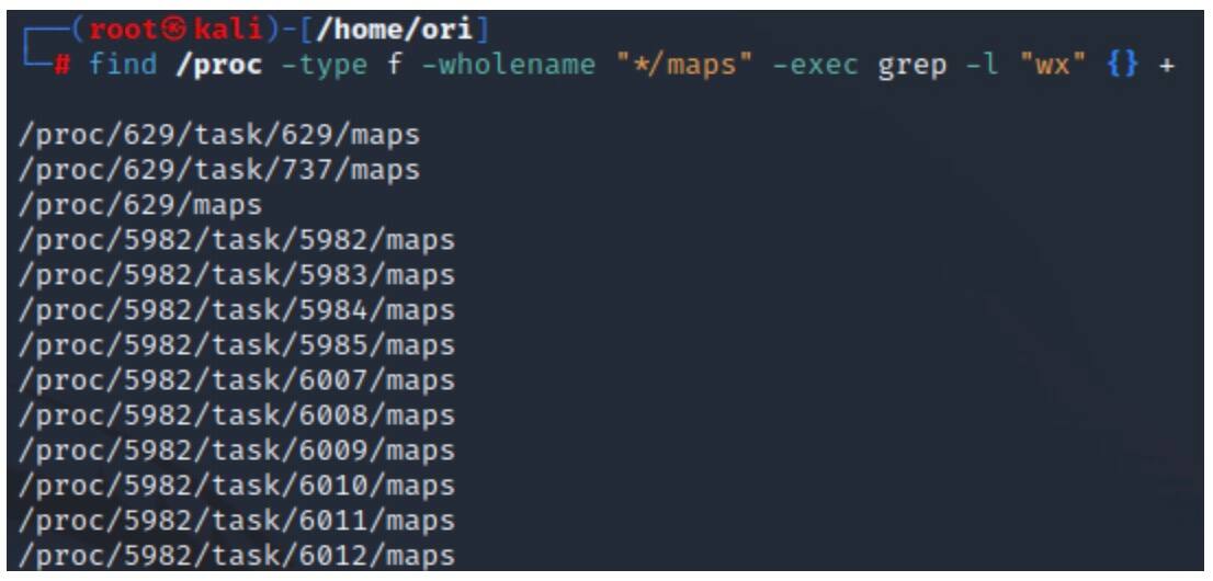 The command in Snippet 5 will scan the maps file of all processes on the system and identify regions with write and execute permissions (Figure 6).