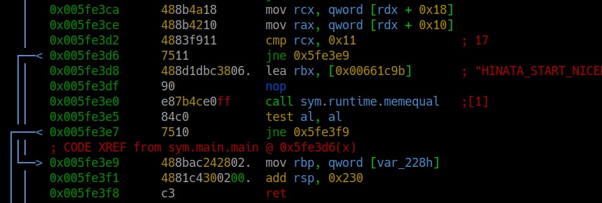 From here, it became obvious we needed to go back to the disassembly to see what HinataBot might be looking for in this argument.