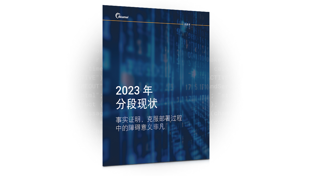 2023 年分段现状 | 白皮书